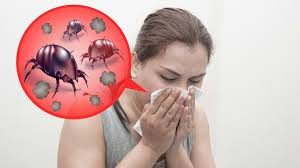 Dust allergy