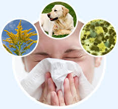 examples-info-allergy-from-environment-03