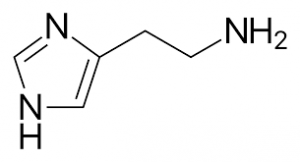 what-is-histamine-allergy-01