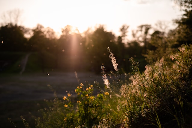 allergies and testing methods