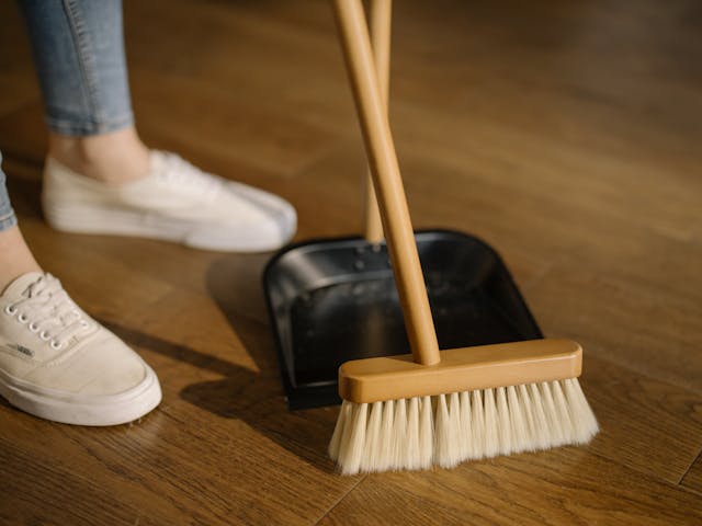 Dealing with Pet Allergies strategies cleaning